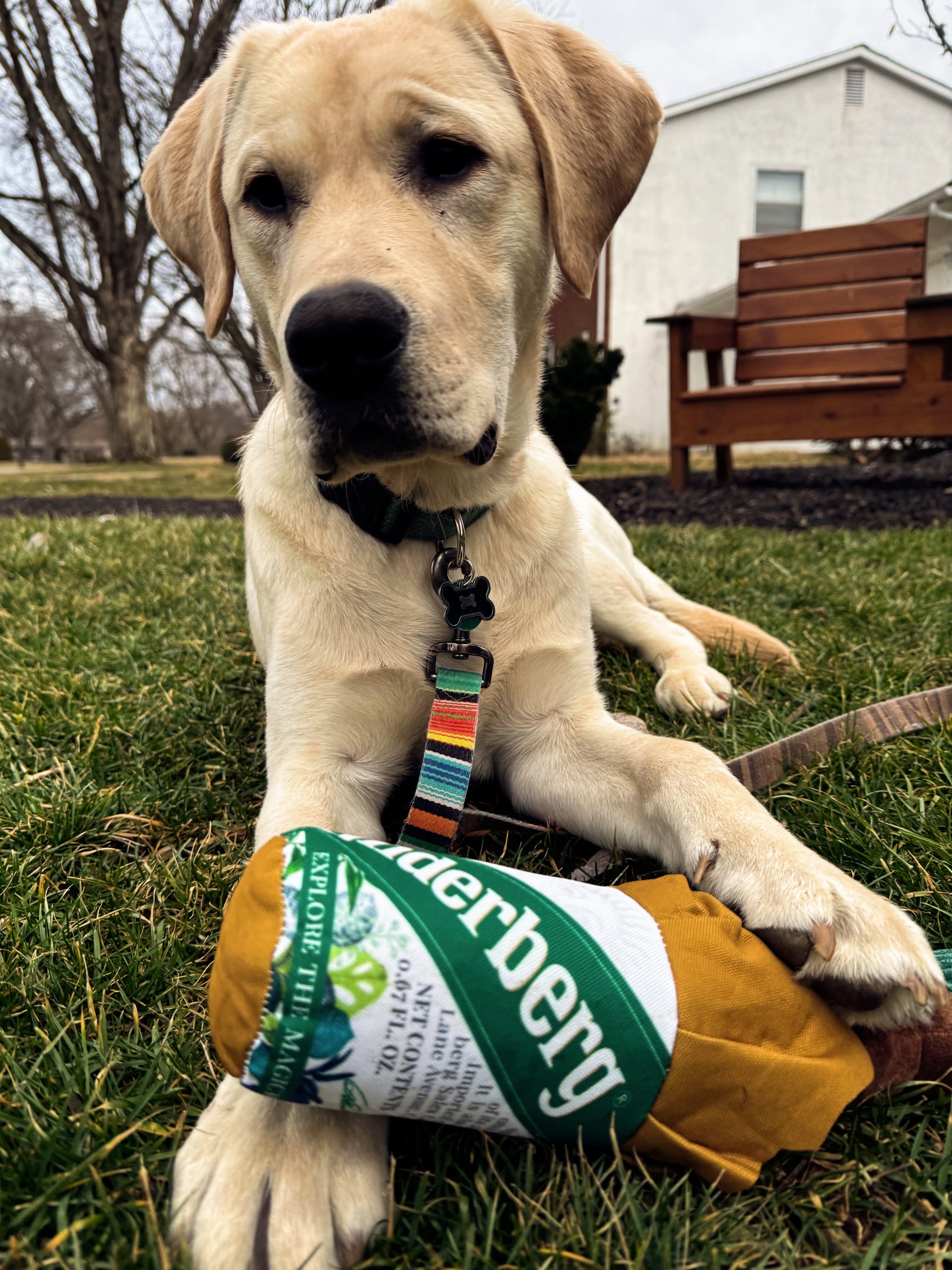 UnderPaw Bottle Buddy