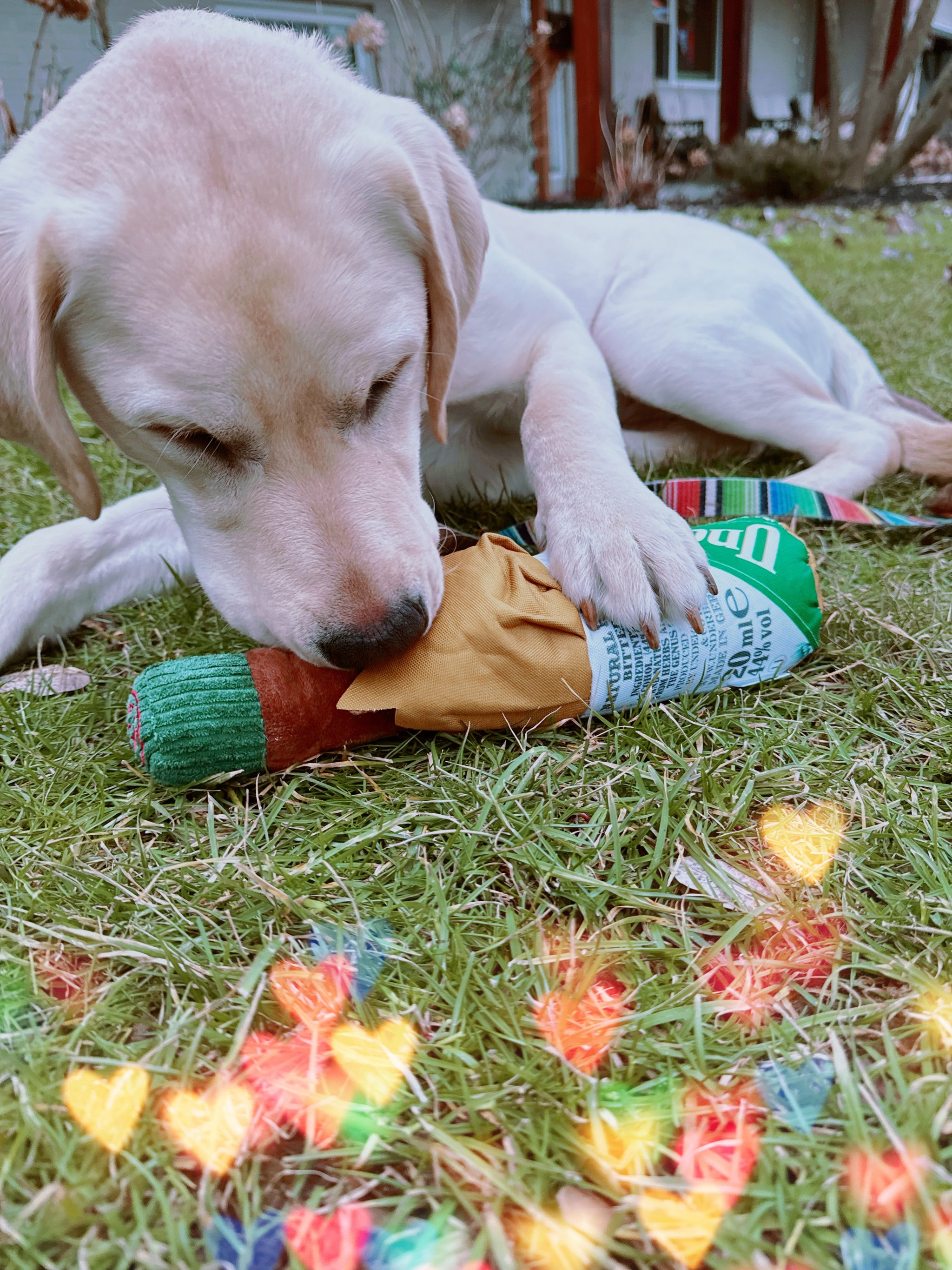 UnderPaw Bottle Buddy