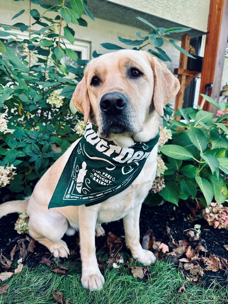 Camp Dog Bandana